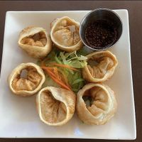 Large portions! Great appetizers!  at My Thai Vegan Cafe in Boston