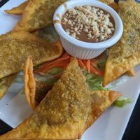 "Golden triangles", tofu mushroom and veggie blend w/ peanut sauce at My Thai Vegan Cafe in Boston
