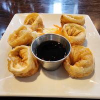 Fried Dumplings at My Thai Vegan Cafe in Boston