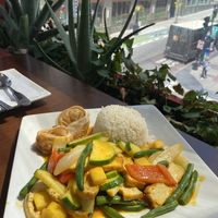 Mango curry lunch special with tofu   at My Thai Vegan Cafe in Boston