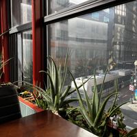 the view!  at My Thai Vegan Cafe in Boston