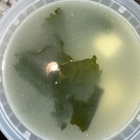   at My Thai Vegan Cafe in Boston