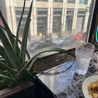 Window next to my table  at My Thai Vegan Cafe in Boston