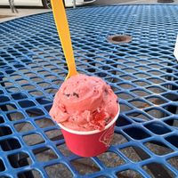 Cherry Chip  at Roxy's Ice Cream Social in Oklahoma City
