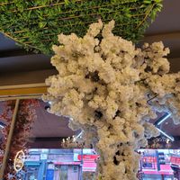 Decor at La Dolce London in London