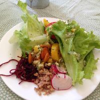 Some of the salads options on Sunday: lettuce, beetroot, carrot, tomato, soy meat and ''mandioquinha'' (cassava) with lemon-herbs dressing. at Apfel in Sao Paulo