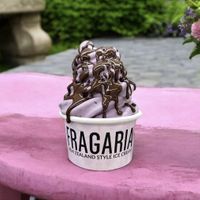 Cherries blended into plant-based vanilla ice cream and topped with melted chocolate   at Fragaria in Maitland