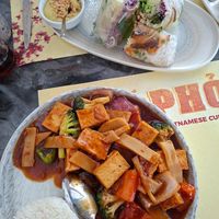 Fresh Rolls und Szechuan Tofu at PHO - Authentic Vietnamese Cuisine in Athens