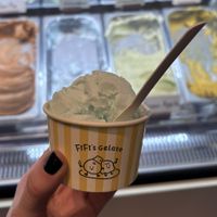 salted coconut single scoop  at Fifi's Gelato in Auckland
