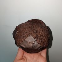 vegan double choc chip muffin at Gluten Free 4 U Boronia in Boronia