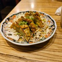 Vegan gyoza at Shinjuku Hikeshi Gyoza in Tokyo