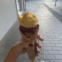 mango passionfruit sorbet, blackberry sorbet, chocolate boysenberry biscuit  at Duck Island Ice Cream - Beach Street in Queenstown