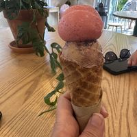 The gluten free cone was crisp and tasty   at Duck Island Ice Cream - Beach Street in Queenstown
