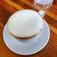 Oat milk capp at The Little Grill in Harrisonburg