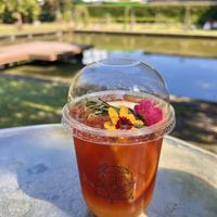 Thai yuzu tea   at Early Owls in Chiang Mai