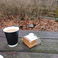 Coffee and cake with added ducks at Refreshment Kiosk in Hope Valley
