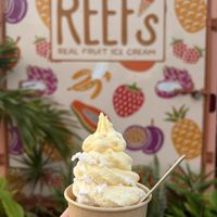 Coconut mango pineapple soft serve!  at Reef's Real Fruit Ice Cream in Kihei