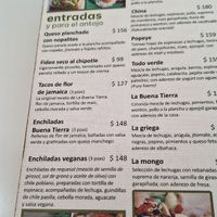 Hay enchiladas veganas y tacos de jamaica,  en el menú 🙌🏻 at La Buena Tierra in Mexico City
