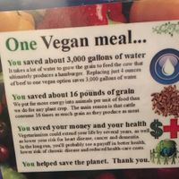 Go Vegan! at Bubble Tea Paradise Healthy Cafe in Limerick