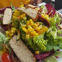 salad with tofu  at Wondergood Bistro in Frankfurt