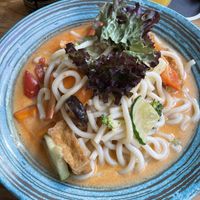 Spicy Udon Noodles with Tofu and Vegetables  at Takumi - Asian Cuisine & Sushi Bar in Erfurt