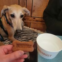  at Bundobust in Leeds