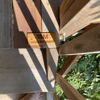 15m up  at The Tree Top Kafe in Auroville