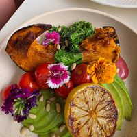 Vegan bowl at The Civic Social in Noosa Heads