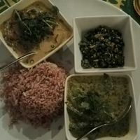 vegan meal at Mount Lavinia in Nuremberg