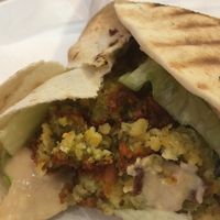 Ceder  at Ceder in Marburg