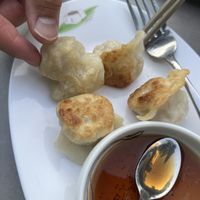 Pot stickers dumplings   at Tofu Vegan in Brighton