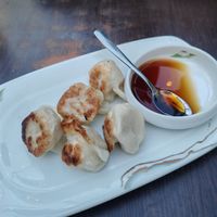 Fried dumplings at Tofu Vegan in Brighton