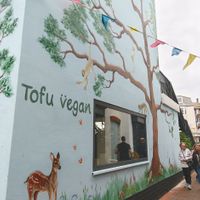  at Tofu Vegan in Brighton