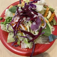 Salad 🥗  at Sweet Tomatoes - Carrollwood in Tampa