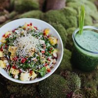 Our Seasonal Special at Daluma in Berlin