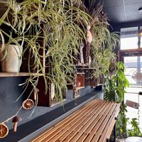 the vibe!  at Project Innerbloom in Pendleton
