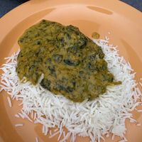 Vegan saag with tofu   at Indian Bites Restaurant & Bar in Lyons