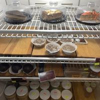   at Samsara in Antigua