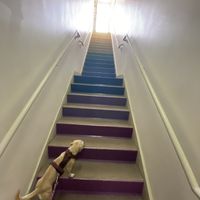   at Trilogy Sanctuary in La Jolla