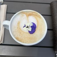 Vanilla latte with oat milkk  at Trilogy Sanctuary in La Jolla