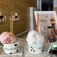Gran variedad de helados  at Madonna Vegan Mataró in Barcelona