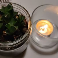  at La Colubrina in Milan