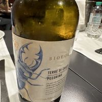   at La Colubrina in Milan