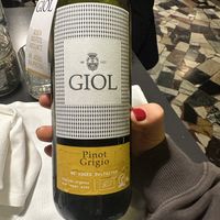 Vegan and Organic Pinot Grigio    at La Colubrina in Milan