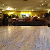 Venue1 at Wild Beets in Ibiza