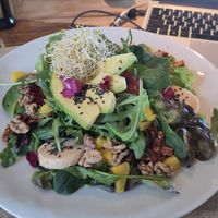 Cashew cheese raw salad was delicious! at Wild Beets in Ibiza