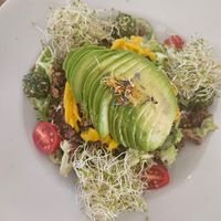  at Wild Beets in Ibiza