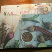 Menu at Wild Beets in Ibiza