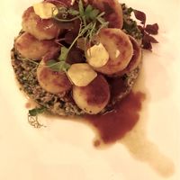 Gnocchi with herb oil over mushrooms with red wine reduction  at Marktkuche in Zurich