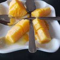 Mango kulfi at Hot and Cold Cafe in Lynchburg